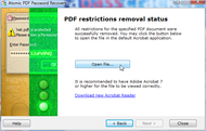 Atomic PDF Password Recovery screenshot